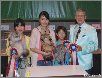 More Kitten Finalists